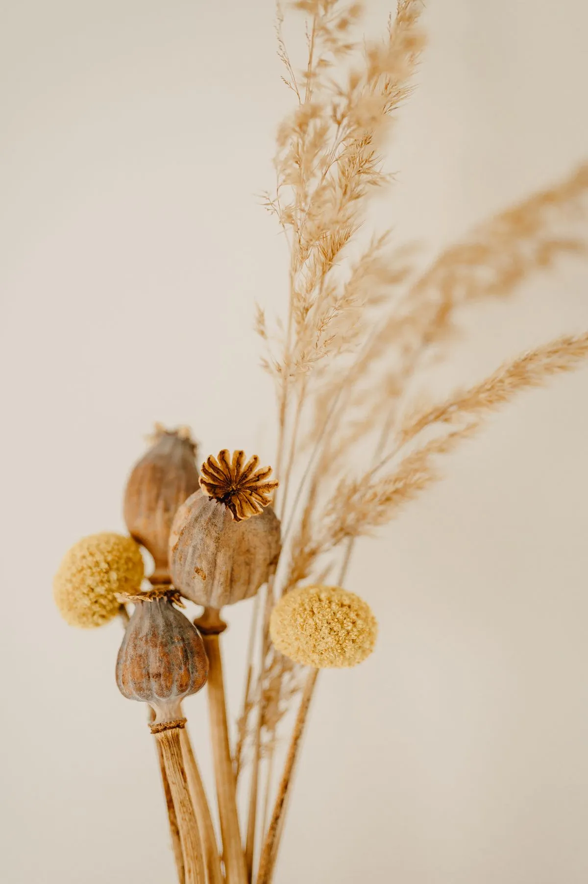 Herbstdeko und Türkranz selber machen